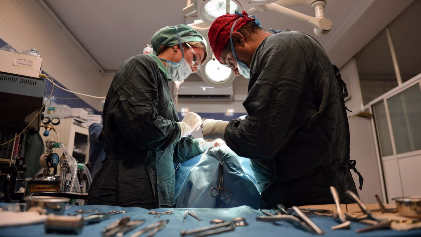 رینگ و لاستیک نجفی